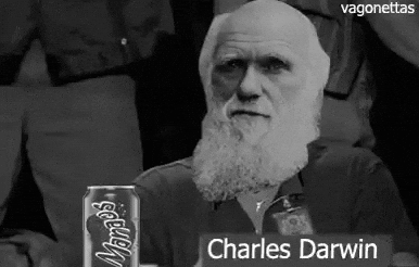Darwin Awards